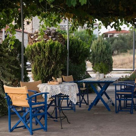 פסאקודיה Palm Tree Apartments מראה חיצוני תמונה